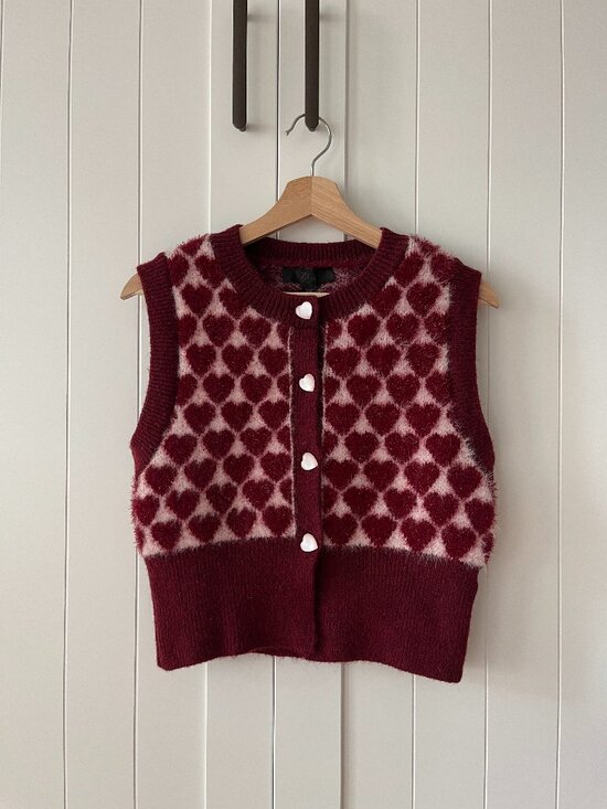Zara Sweaters - Zara Heart Jacquard Knit Vest